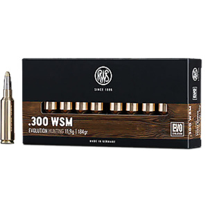.300 WSM