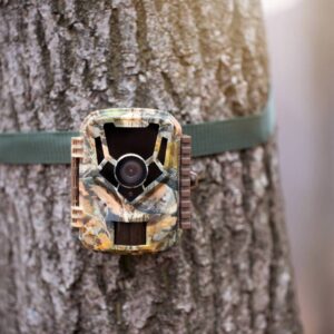 Lovske & nadzorne - trail kamere